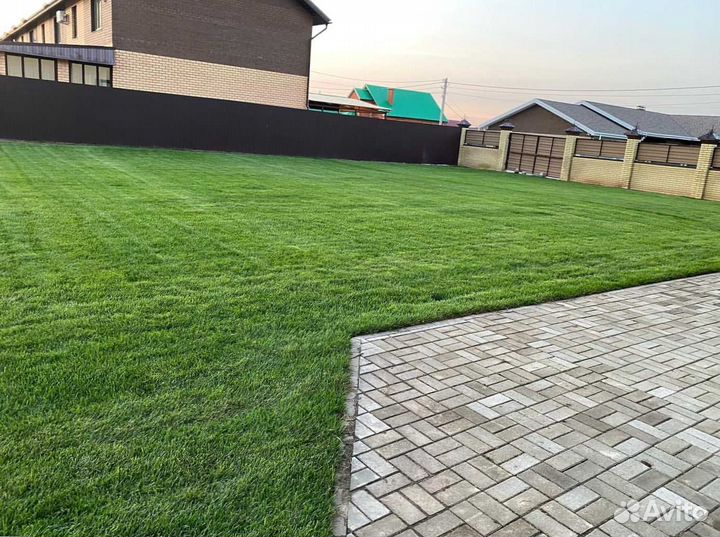 Рулонный газон, газон посевной