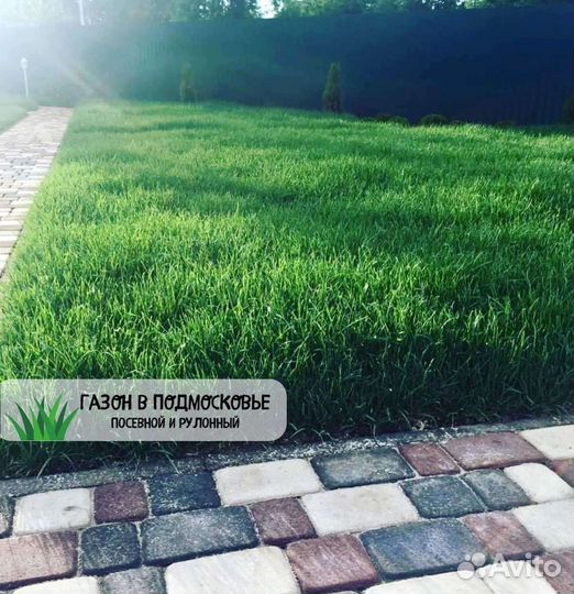 Газон. Рулонный газон