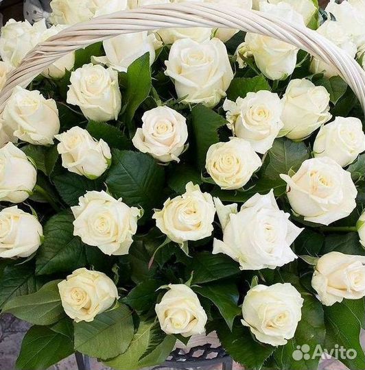 Высокие Розы с Доставкой