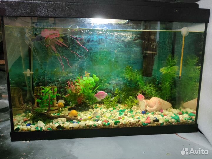 Аквариум