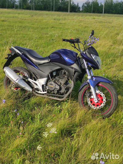 Winner 250/Stels Flex 250