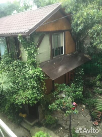 Трахелоспермум жасминовидный