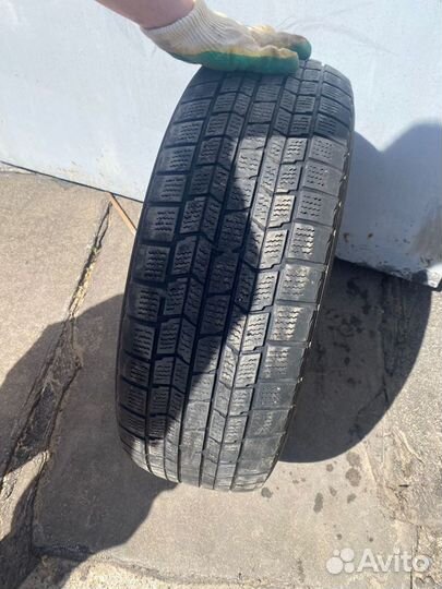 Dunlop Graspic DS3 195/65 R15