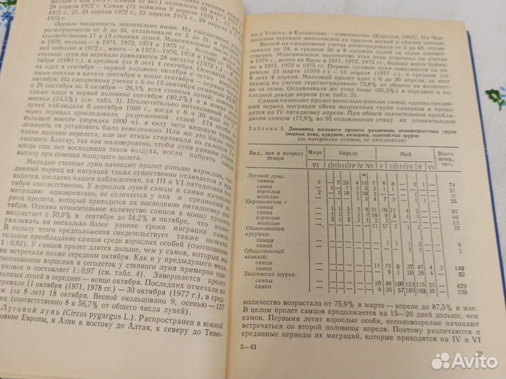 Сезонные перелеты птиц в предгорьях западного тянь