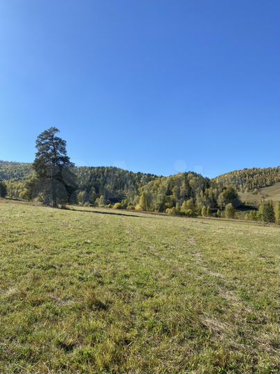 Участок 3 га (СНТ, ДНП)