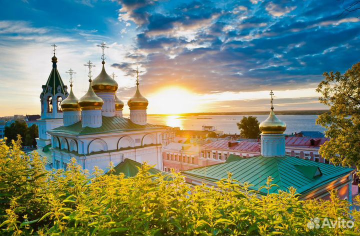 Автобусный тур в Нижний Новгород с зоопарком и акв