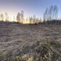 Участок 2,29 га (ИЖС), Вербилки