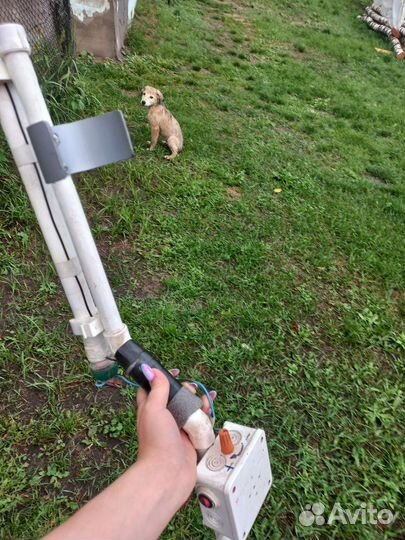 Металлоискатель