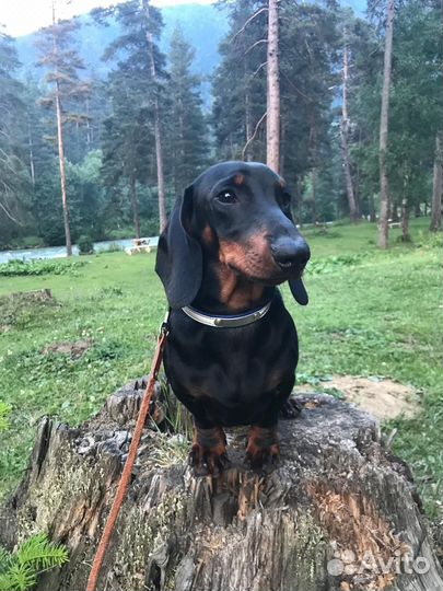 Вязка бесплатно