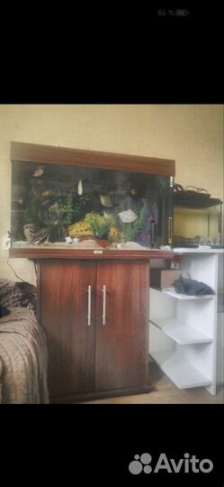 Аквариум с тумбой juwel 120 литров с рыбками