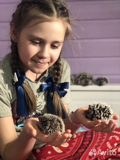 Ежики из шерсти