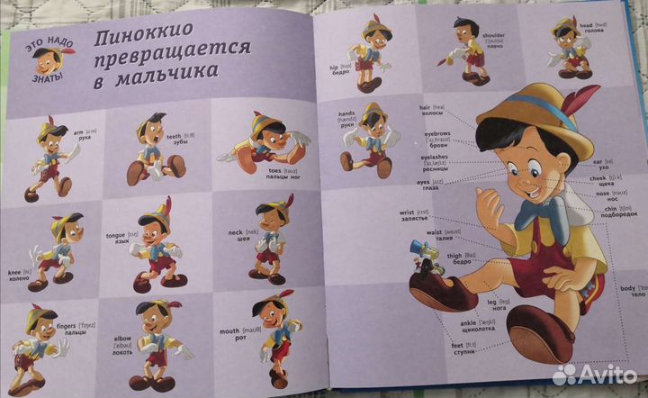 Словарь английских слов в картинках