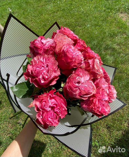 Моно будет с розой