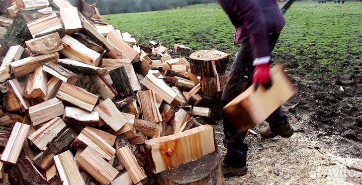 Дрова в ло