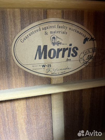 Гитара акустическая Morris W25 made in Japan