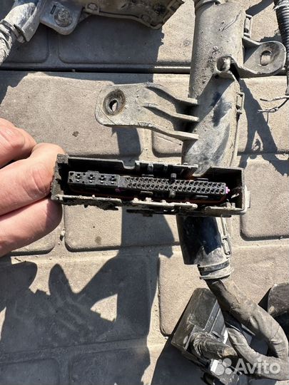 Проводка подкапотная Kia Pro Ceed ED