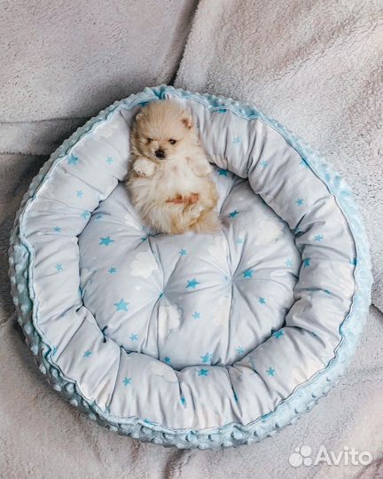 Лежанки для любимцев