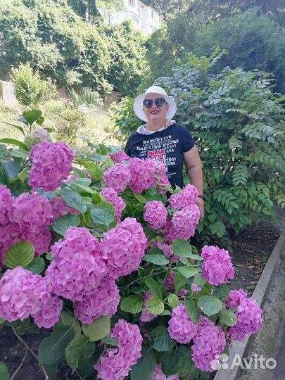 Растения для сада