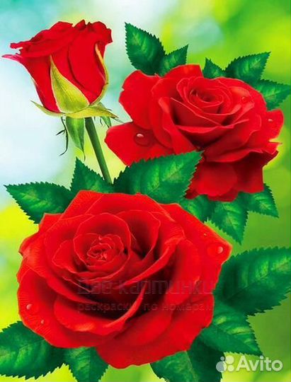 Алмазная мозаика 40x50 Три розы в капельках росы