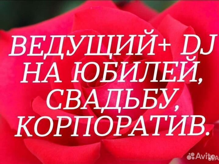 Ведущий тамада