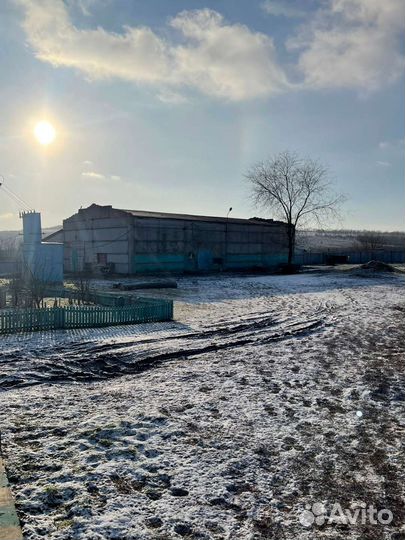 Продам готовый бизнес производство