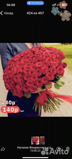 101 Роза Цветы 51 101 Роза