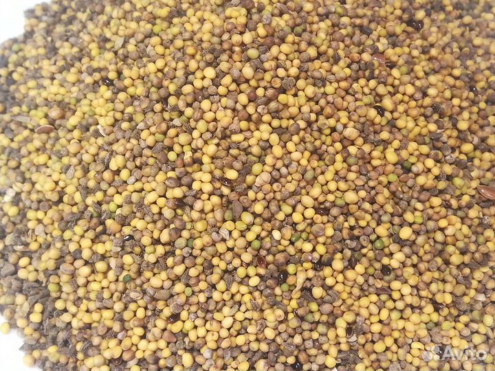 Горчичное масло сыродавленное