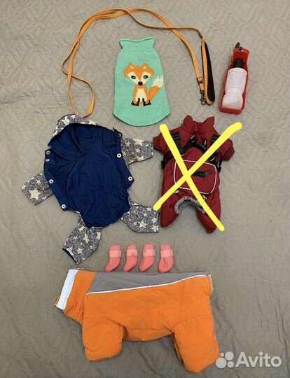 Одежда, обувь и не только для маленьких собак