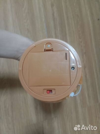 Танцующий кактус