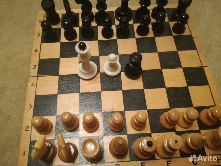 Шахматы