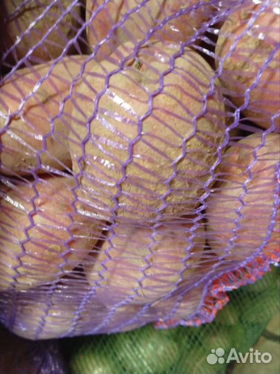 Продам картофель