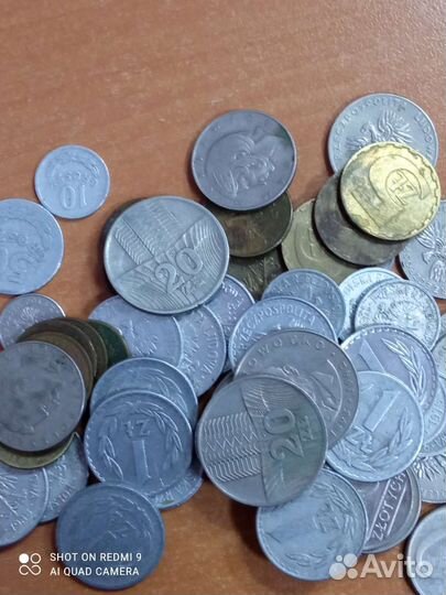 Польша монеты