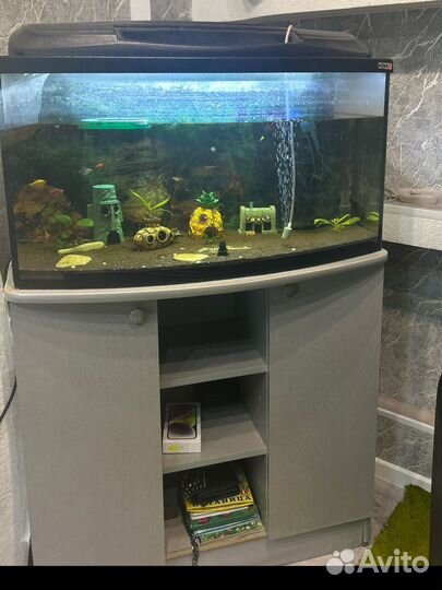 Аквариум