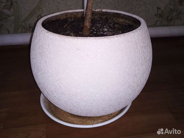 Керамические горшки для цветов бу