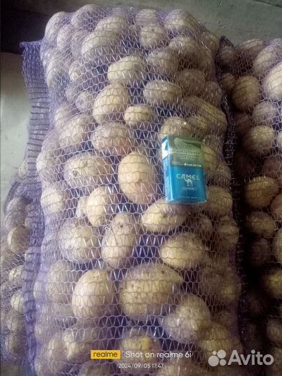 Картошка, картофель