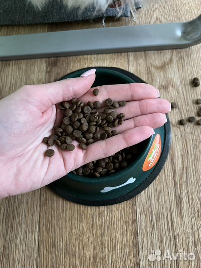 Корм Natures Protection для белых собак