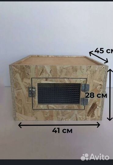 Брудер для цыплят