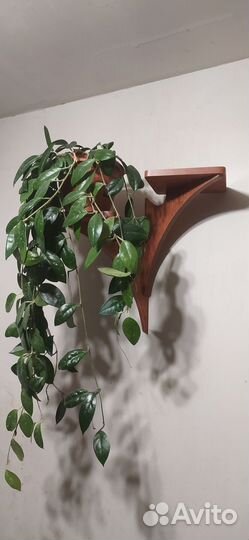 Полка для цветов