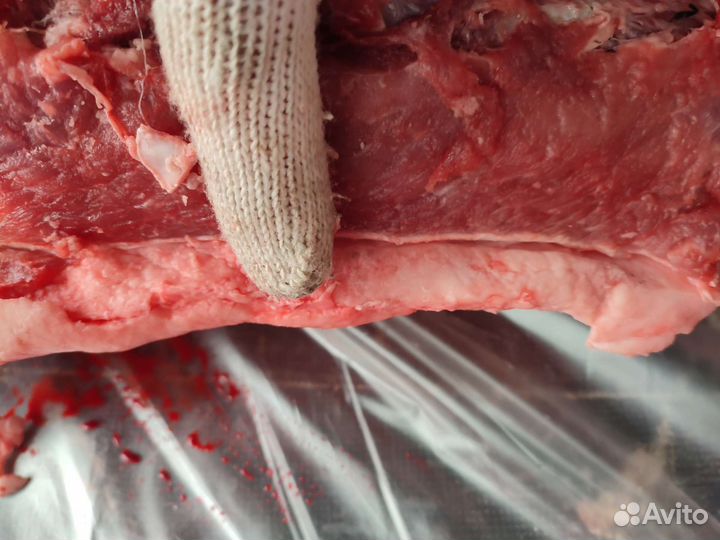 Мясо косули, лось, кабан. Дичь