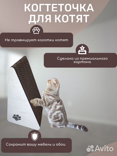 Когтеточка для котят
