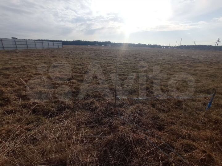 Участок 10 сот. (ИЖС)