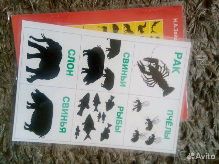 Кубики Зайцева