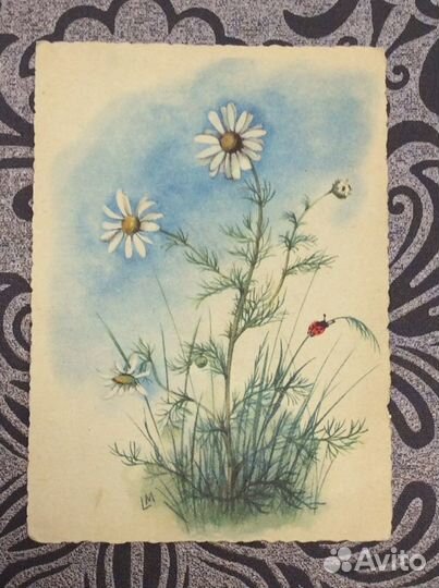 Для знатоков Старинная открытка из Бремена