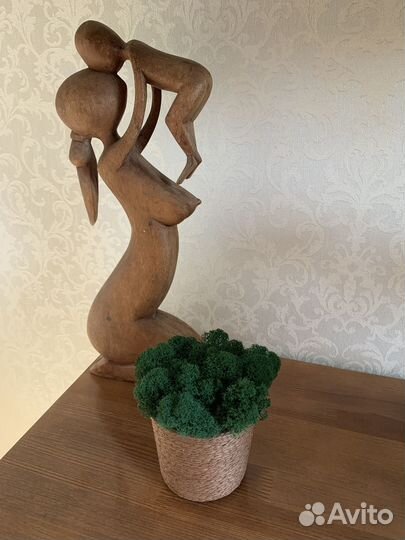 Кашпо со стабилизированным мхом, подарок