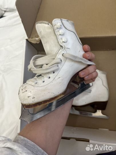 Коньки graf etude