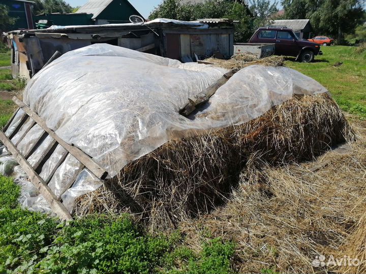 Продам сено лесное