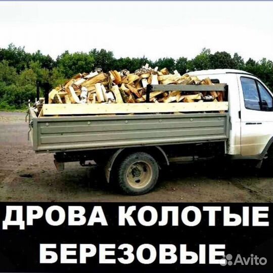 Дрова колотые берёза