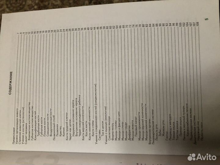 Анатомия человека