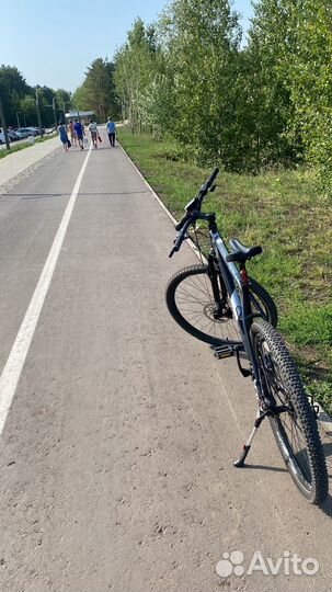 Stinger Graphite STD 29 / возможен обмен