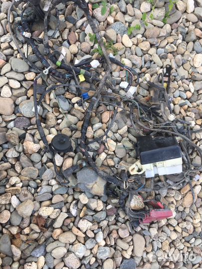 Toyota funcargo блок предохранттелей с проводкой